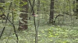 Порно видео от студии TeenSexMovs